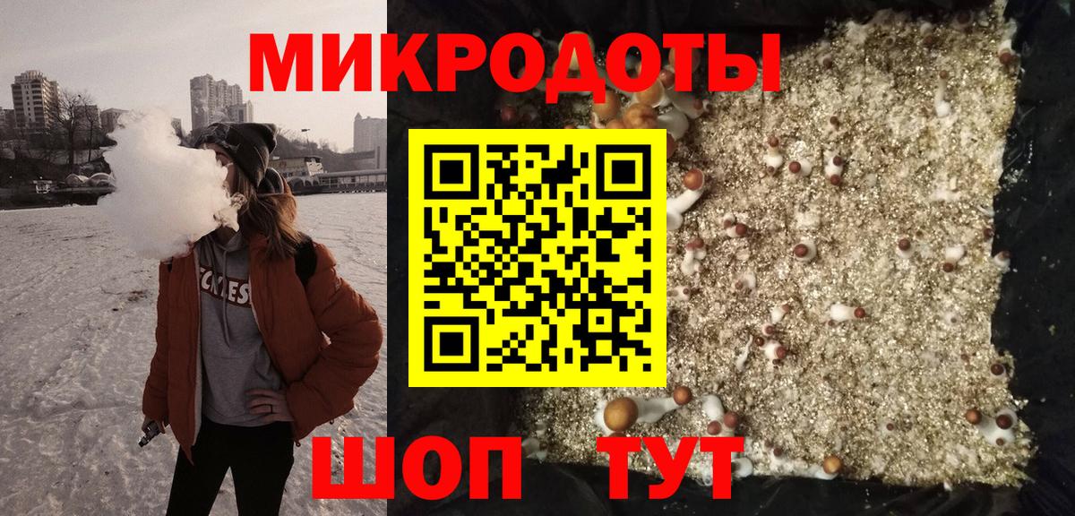 Дмитров  Псилоцибиновые грибы мухоморы  Псилоцибиновые грибы Magic Shrooms  как найти наркотики  Вход с VPN 